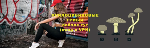 дмт Арсеньев