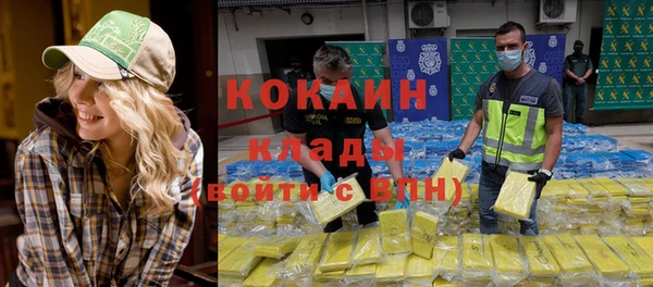 дмт Арсеньев